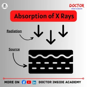 absorption of x rays