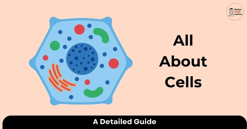 Building Blocks of Life: A Complete Guide to Human Cell