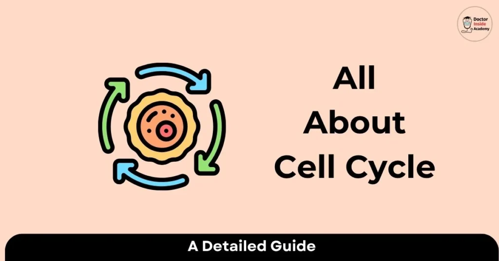 All About Cell Cycle