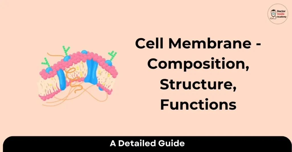 Cell Membrane: Composition, Structure, and Functions Notes